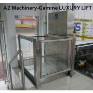 Ascenseurs pmr-luxury lift lxw-3 -capacité 300 kg levée 3m-lève fauteuil