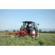 Mod. GTS Faneuses rotatives - Galfrè Domenico & C. S.R.L - Largeur de travail 2,80 m à 5,20 m - Robustesse et performance_2