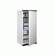 Armoire réfrigérée négative - 420 L - Froid statique - Blanc | Tefcold - UF550_2