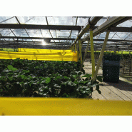 Bande engluée professionnelle 100m - Thrips et nuisibles - Bleu - Résistante aux UV_2