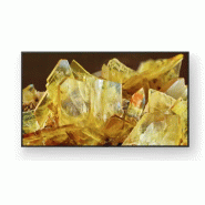 Sony FWD-98X90L TV 2,49 m (98