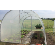 Serre de jardin simple, fonctionnelle et pratique pour tous les jardins en gardant une hauteur conséquente- ESSENTIELLE_2