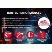 Torche MIG MAG LG PROMIG UD 500W à potentiomètre 4m - Lincoln_2