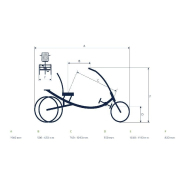 Tricycle électrique Scoobo - assistance Bosch Active Plus - 7 vitesses Nexus - Pfautec_3