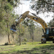 Broyeur forestier TFS - Pour pelles de 18 à 25 tonnes - Puissance exceptionnelle - Coupe jusqu'à 40 cm_2
