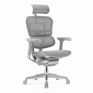 Fauteuil Ergonomique de Bureau EHE2 - Gris clair_2
