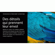 Cartouche de toner Noir de Grande capacité Xerox Imprimante couleur Xerox® C410/multifonctions Xer_2