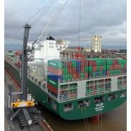 Grue mobile portuaire pour conteneurs et produits en vrac