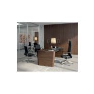 Siège de direction - Directa - ergonomique avec dossier personnalisable et base en aluminium brillant_2