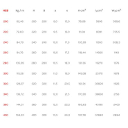 Poutrelle acier HEB selon NF EN 10034 - Hauteur +200 mm - Réf HEB200_2