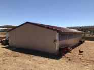 Bâtiment pour élevage de poules bio avec SAS sanitaire