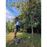 Plateforme de travail tout terrain - antidérapante avec anse semi-rigide - hauteur 30 cm_2