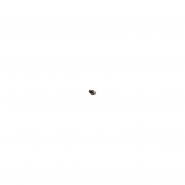 Nettoyeur haute pression eau froide thermique - Lavor - Moteur Honda 13 HP GX 390 - Pompe linéaire 3 pistons céramiques - 250 bar_2