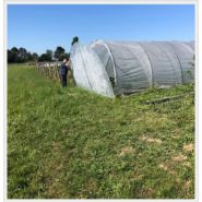 Serre avec bâche relevable pour aération optimale