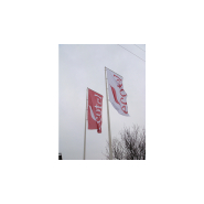 Mâts avec drapeaux personnalisables - Signalisation visuelle pour entreprises et événements_2