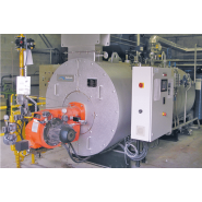 Chaudières vapeur NBWB - Production de 250 à 2500 kg/h - Haute efficacité énergétique_2