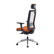 Fauteuil de bureau ergonomique avec soutien lombaire innovant_2