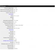 Poste à souder à l'arc - Deca - 80A, 1Ph 230V, avec câble, pince de soudage et valise_2
