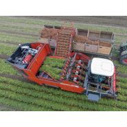 Arracheuse par préhension ZKIV - Dewulf BV - 120 t/h - 4 rangs - largeur 3500 mm - pour carottes fraîches_2