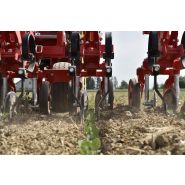 Chopstar Twin - Bineuses agricoles Einboeck - Inter-rangs jusqu'à 75 cm pour cultures spéciales_2
