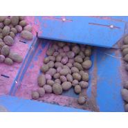 Machine agricole Standen SP330 avec système de placement précis des graines