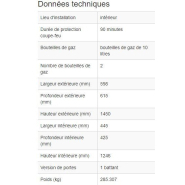 Armoire pour bouteilles de gaz coupe-feu G90 - Modèle 210380W - Stockage sécurisé et homologué EN 14470-2_2