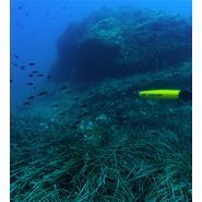 Planeur sous-marin facile à opérer avec télécommande à distance