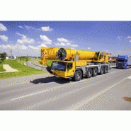 Ltm 1160-5.2 grue mobile_2