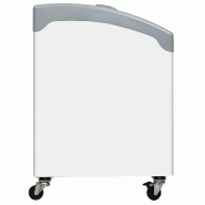 Congélateur vitré de crème glacée NIC401SCEB (388 / 298) blanc TEFCOLD_2
