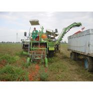 Récolteuse à tomates g 89/93 ds 32