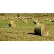 Enrubanneuse automatique pour balles compactes