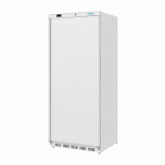 Armoire réfrigérée positive Série C blanche 600L PC005 Polar_2