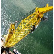 Grue MTC 6000 avec rayon de giration illimité de 360°