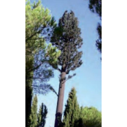 Pylones arbres accès intérieur - Karbre - de 12 à 30 m - couleur marron ou noir_2