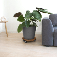 Roule-plante en bois rond naturel - Basics - 37,5 cm_2