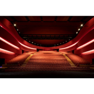 Siège de  spectacle en mousse injectée pour un confort optimal_2