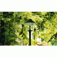 Luminaire d'élcairage public alpha / led / 5400 lm / en aluminium / hauteur conseillée 4.5 m_2