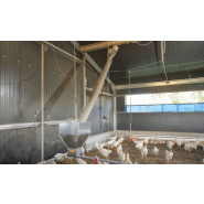 Système d’abreuvement avec ligne pipette pour élevage avicole