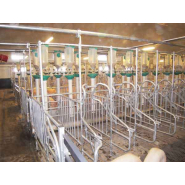 Matériels et installations de distribution d'aliments en élevage - aménagement des salles et distribution par vis souple, chaîne à pastille et bi-phase_2