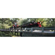 R1 Series Rotary épareuses et broyeurs forestiers - transport adaptable - coupe nette - garantie 3 ans - andains bien formés_2