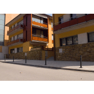 Borne Hospitalet Pletina - H214P - Acier zingué avec anneau inox - Versions amovible, flexible et sur platine_2