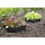 Lot de 12 sacs de protection pour salade - Bag Biocontrol_2