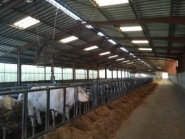 Abbifan XXP avec système de contrôle électronique avancé