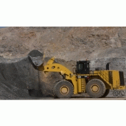 Chargeuses sur pneus - 50t à 80t (grosses) caterpillar 993k_2