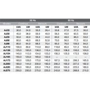 Série 5 Groupes électrogènes industriels AJ Power - 33 à 275 kVA - moteurs AGCO Power et Perkins_2