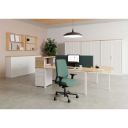 Rayonnage de bureau en bois - 6 modèles design et qualitatifs pour entreprises, avec options de portes et tiroirs_2
