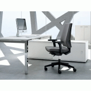 Fauteuil de bureau Omega - Rembourrage en mousse polyuréthane - Revêtement polyester - Accoudoirs réglables 3D_2