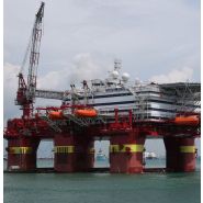 Bos 2600 - Grue portuaire offshore Liebherr - Capacité de levage max 100t - Portée max 60m_2