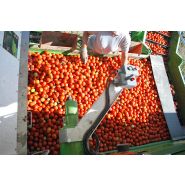 Récolteuse Super G 150-48