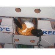 Chambre de temperage la décongélation de produits_2